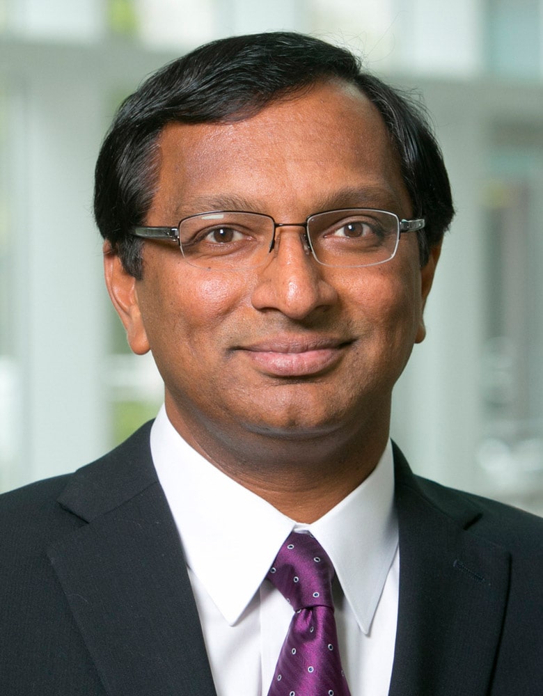 R.J. Reynolds Professor of Business Administration, Mohan Venkatachalam